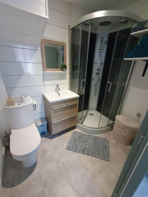 Roanne Centre, Appartement Refait A Neuf. Kültér fotó