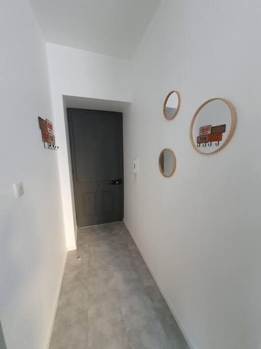 Roanne Centre, Appartement Refait A Neuf. Kültér fotó