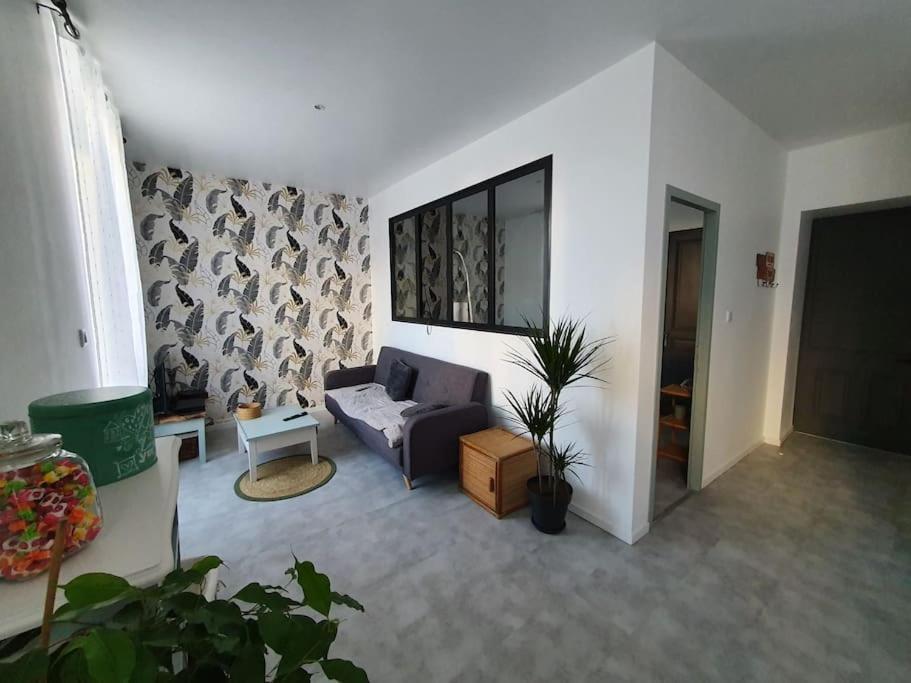 Roanne Centre, Appartement Refait A Neuf. Kültér fotó